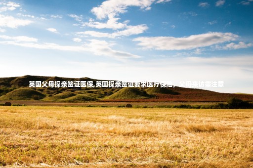 英國(guó)父母探親簽證醫(yī)保,英國(guó)探親簽證要求醫(yī)療保險(xiǎn)，父母來(lái)訪需注意