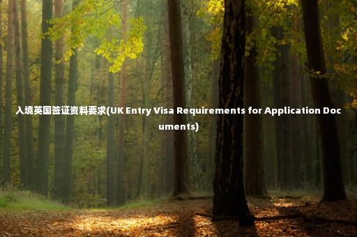 入境英國簽證資料要求(UK Entry Visa Requirements for Application Documents)
