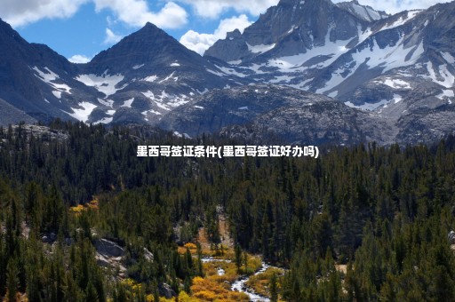 墨西哥簽證條件(墨西哥簽證好辦嗎)