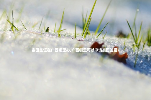 泰國簽證在廣西哪里辦,廣西哪里可以申請?zhí)﹪炞C？