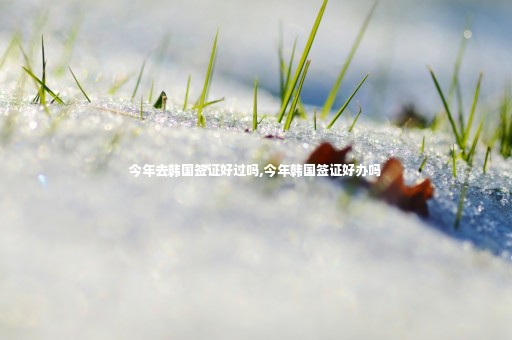 今年去韓國(guó)簽證好過(guò)嗎,今年韓國(guó)簽證好辦嗎