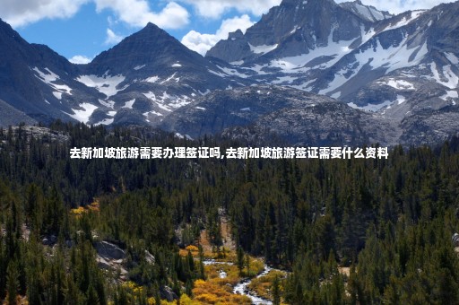 去新加坡旅游需要辦理簽證嗎,去新加坡旅游簽證需要什么資料