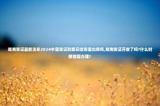 越南簽證最新消息2024中國(guó)簽證到期后續(xù)簽需出境嗎,越南簽證開放了嗎?什么時(shí)候恢復(fù)辦理?