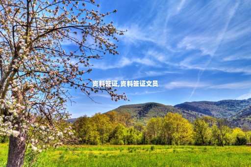 資料簽證,資料簽證文員