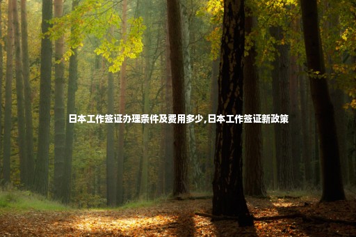 日本工作簽證辦理條件及費用多少,日本工作簽證新政策