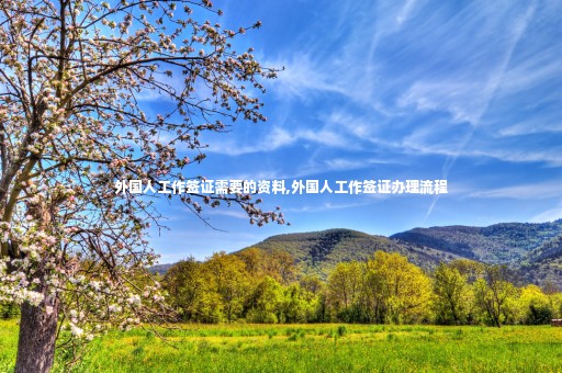 外國人工作簽證需要的資料,外國人工作簽證辦理流程