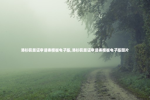洛杉磯簽證申請(qǐng)表模板電子版,洛杉磯簽證申請(qǐng)表模板電子版圖片