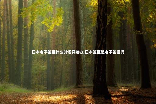 日本電子簽證什么時(shí)候開(kāi)始辦,日本簽證是電子簽證嗎
