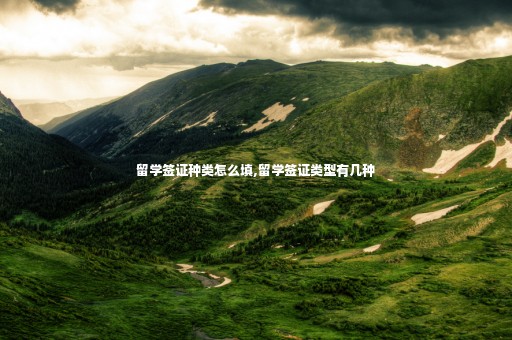 留學簽證種類怎么填,留學簽證類型有幾種