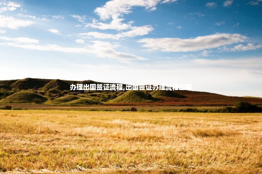 辦理出國簽證流程,出國簽證辦理流程出國