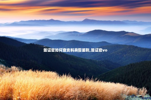 簽證官如何查資料真假鑒別,簽證官vo
