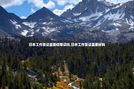日本工作簽證需要結(jié)婚證嗎,日本工作簽證需要材料