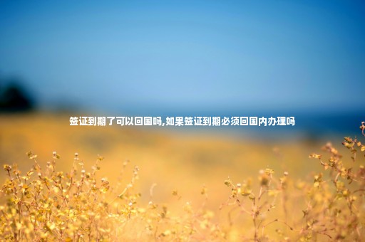 簽證到期了可以回國嗎,如果簽證到期必須回國內(nèi)辦理嗎
