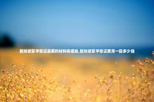 新加坡留學(xué)簽證需要的材料有哪些,新加坡留學(xué)簽證費(fèi)用一般多少錢
