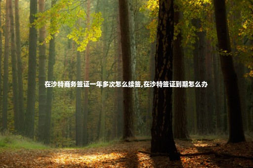 在沙特商務(wù)簽證一年多次怎么續(xù)簽,在沙特簽證到期怎么辦
