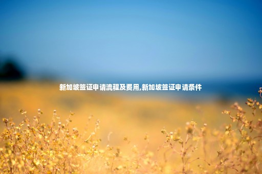 新加坡簽證申請流程及費(fèi)用,新加坡簽證申請條件