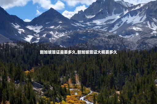 新加坡簽證需要多久,新加坡簽證大概要多久