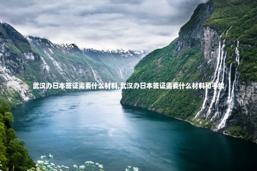 武漢辦日本簽證需要什么材料,武漢辦日本簽證需要什么材料和手續(xù)