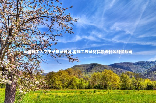 香港理工大學(xué)電子簽證官網(wǎng),港理工簽證材料最晚什么時(shí)候郵寄