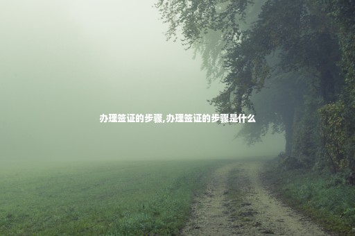 辦理簽證的步驟,辦理簽證的步驟是什么