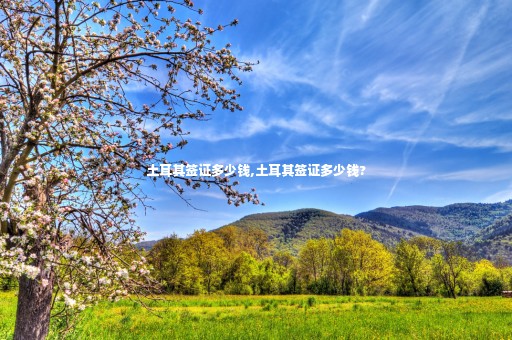 土耳其簽證多少錢,土耳其簽證多少錢?