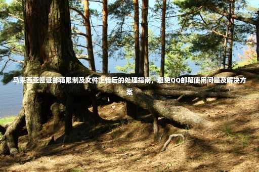 馬來西亞簽證郵箱限制及文件上傳后的處理指南，避免QQ郵箱使用問題及解決方案