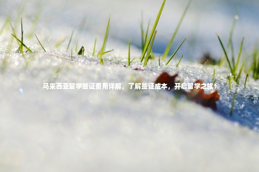 馬來西亞留學(xué)簽證費(fèi)用詳解，了解簽證成本，開啟留學(xué)之旅！