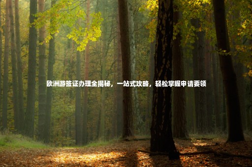 歐洲游簽證辦理全揭秘，一站式攻略，輕松掌握申請要領