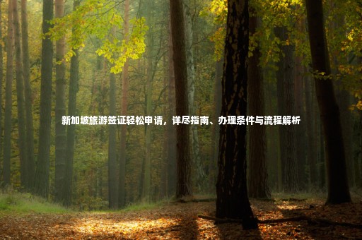 新加坡旅游簽證輕松申請，詳盡指南、辦理條件與流程解析
