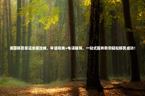 美國移民簽證全程攻略，申請指南+電話輔導，一站式服務助您輕松移民成功！