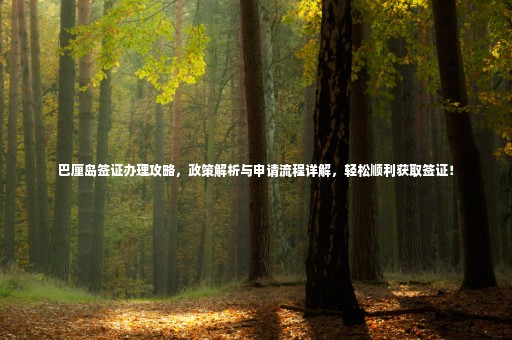 巴厘島簽證辦理攻略，政策解析與申請(qǐng)流程詳解，輕松順利獲取簽證！