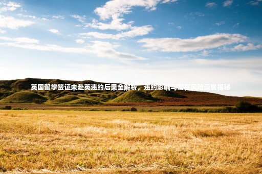 英國留學(xué)簽證未赴英違約后果全解析，違約影響與潛在風(fēng)險深度揭秘