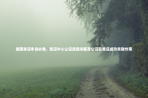 美國簽證申請(qǐng)必備，簽證中心公證流程詳解及公證在簽證成功關(guān)鍵作用