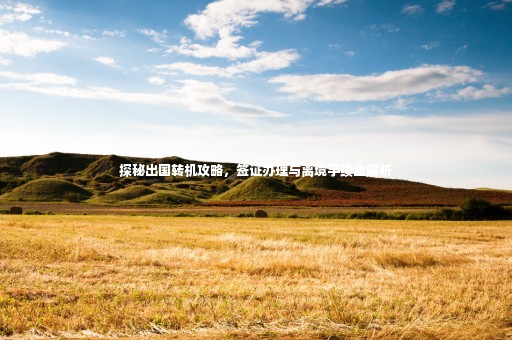 探秘出國轉(zhuǎn)機攻略，簽證辦理與離境手續(xù)全解析