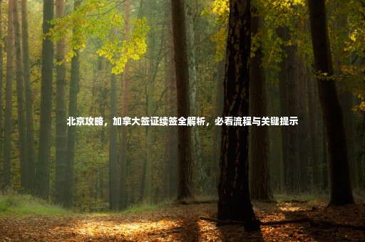 北京攻略，加拿大簽證續(xù)簽全解析，必看流程與關鍵提示