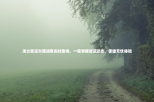 波蘭簽證辦理進(jìn)度實時查詢，一鍵掌握簽證動態(tài)，便捷無憂體驗