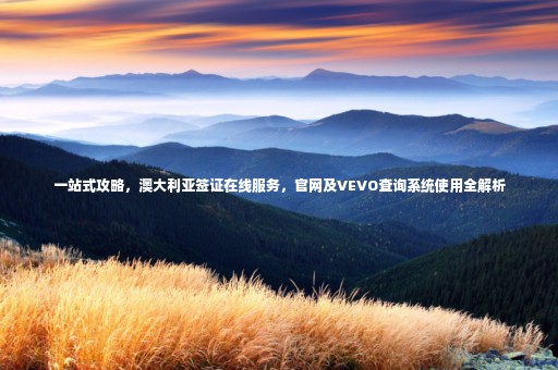 一站式攻略，澳大利亞簽證在線服務(wù)，官網(wǎng)及VEVO查詢系統(tǒng)使用全解析