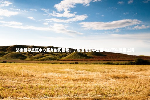 濟(jì)南留學(xué)簽證中心服務(wù)時間揭秘，了解濟(jì)南留學(xué)簽證中心下午是否上班