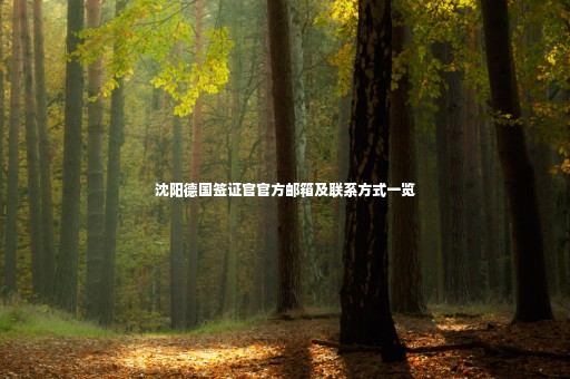 沈陽(yáng)德國(guó)簽證官官方郵箱及聯(lián)系方式一覽