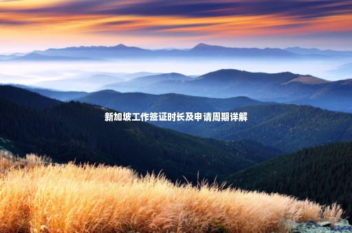 新加坡工作簽證時(shí)長(zhǎng)及申請(qǐng)周期詳解