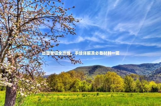 出國簽證全攻略，手續(xù)詳解及必備材料一覽