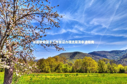 詳解歐盟藍(lán)卡工作簽證辦理流程及申請(qǐng)指南