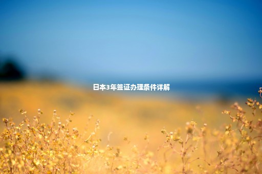 日本3年簽證辦理?xiàng)l件詳解