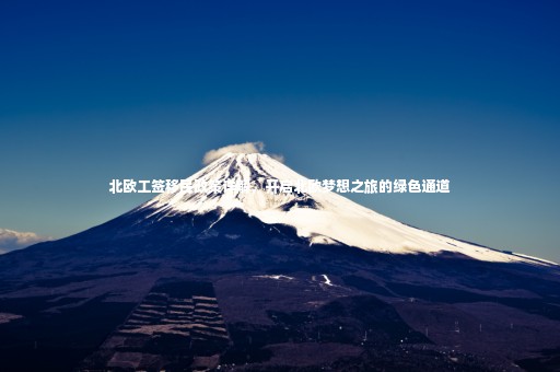 北歐工簽移民政策詳解，開啟北歐夢想之旅的綠色通道