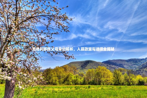 奧地利移民父母身份解析，入籍政策與途徑全揭秘