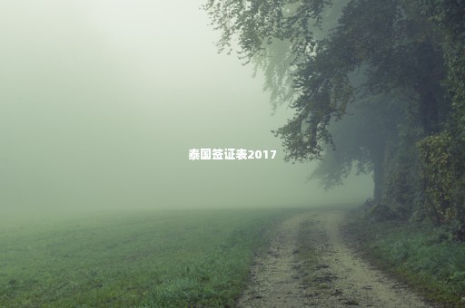 泰國(guó)簽證表2017