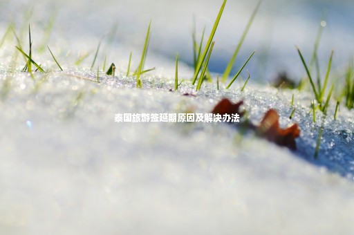 泰國旅游簽延期原因及解決辦法