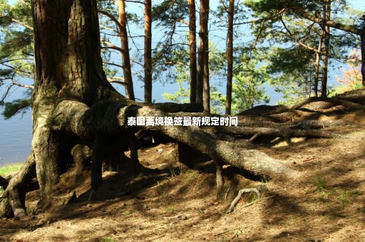 泰國離境換簽最新規(guī)定時間