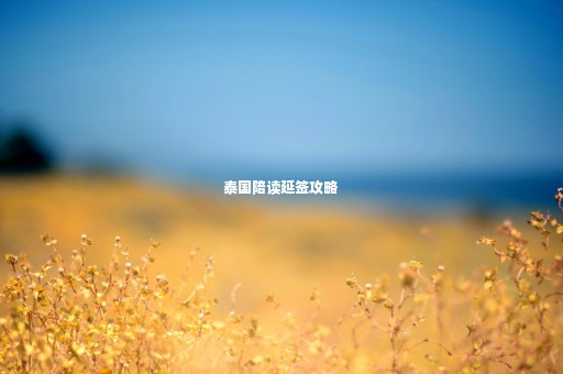 泰國陪讀延簽攻略