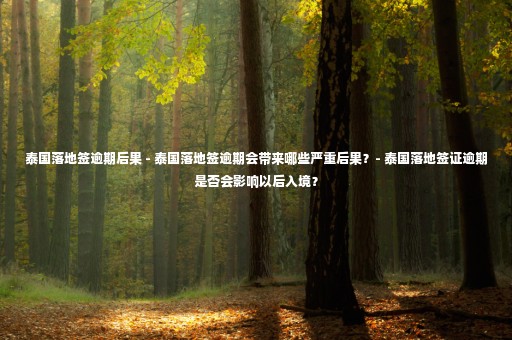 泰國(guó)落地簽逾期后果 - 泰國(guó)落地簽逾期會(huì)帶來(lái)哪些嚴(yán)重后果？- 泰國(guó)落地簽證逾期是否會(huì)影響以后入境？